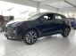 Ford Puma ST-Line*Kamera h*Winterpaket*