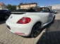 VW Beetle Cabrio Design Navi/Tempo/PDC/Shz/Bi-Xenon