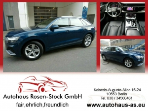 Audi Q8 50 TDI Quattro Tiptronic Mild/Hybrid,S-Line,Leder,AHK