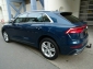 Audi Q8 50 TDI Quattro Tiptronic Mild/Hybrid,S-Line,Leder,AHK