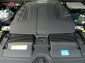 Audi Q8 50 TDI Quattro Tiptronic Mild/Hybrid,S-Line,Leder,AHK