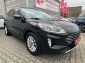 Ford Kuga Titanium ACC/PDC+Kamera/Standhzg/Assistenz