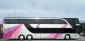 Setra/Kaessbohrer S 431 DT