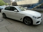 BMW 520D xDrive M-Sport SAG,AHK,Standh,GSD,Kamera