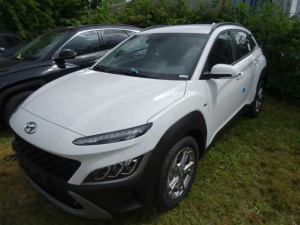 Hyundai KONA 1.0 T-GDI 48V-Hybrid Trend Voll-LED/R.Kamera uvm