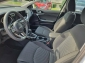 Kia cee'd Sportswagon Vision 1.0 T-GDI 100 PS