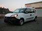 Fiat Doblo 1,3 Multijet Maxi Kasten Fenster EURO6 XL