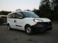 Fiat Doblo 1,3 Multijet Maxi Kasten Fenster EURO6 XL