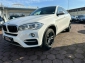 BMW X6 xDrive 30 d INDIVIDUAL NAVI LEDER SHD SOFT-CL