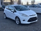 Ford Fiesta ST-Line INDIVIDUAL 1.HAND PDC TV