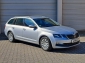 Skoda Octavia Combi 1,6 TDI Ambition *PDC*ACC*SHZ*Amundsen*