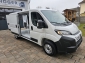 Fiat Ducato 120 L2H1 Visibility Kamera 260� T�ren