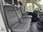 Fiat Ducato MAXI L4 Pritsche 4,2 Android Auto Nebels