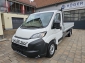 Fiat Ducato MAXI L4 Pritsche 4,2 Android Auto Nebels