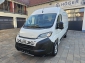 Fiat Ducato L2H2 5` TFT DAB Bluetooth Klima 2xAirbag