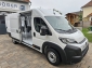 Fiat Ducato 35 MAXI AT8 Automatik L5H2 L4H2 180 LED
