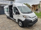 Fiat Ducato 35 L3H2 MAXI 13m� 180 Multicab DOKA 7 S.