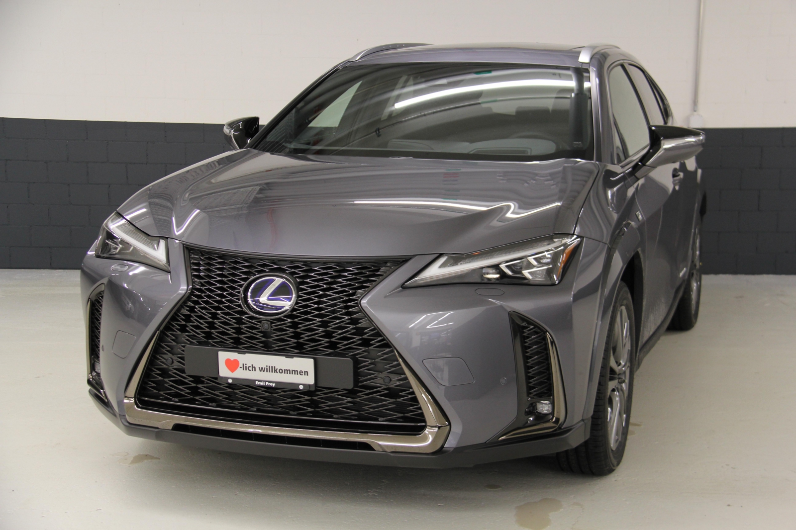 Lexus UX 250h