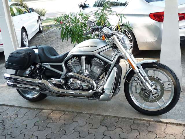 Harley Davidson VRSC V-Rod VROD VRSCDX*Jubi.-Modell**8TKM*Sammlerstück*