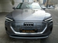 Audi e-tron 55 Quattro Advanced Autom,Leder,AHK,Matrix,Nachtsicht