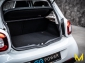 Smart ForFour EQ pulse ICEWHITE-PREMIUM-PLUS-MEDIA:TOP