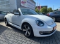 VW Beetle Cabrio Design Navi/Tempo/PDC/Shz/Bi-Xenon