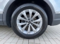 VW Tiguan 1.5 TSI DSG Life ACC PDC Winter Klima LED 17Alu