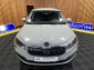 Skoda Karoq TDI Style DSG *Navi*Kessy*Kamera*LED*Tempo