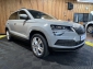 Skoda Karoq TDI Style DSG *Navi*Kessy*Kamera*LED*Tempo