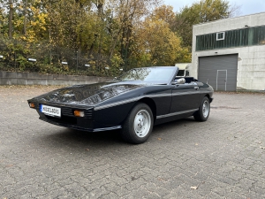 TVR Tasmin Rechtslenker RHD SCHNAPPER