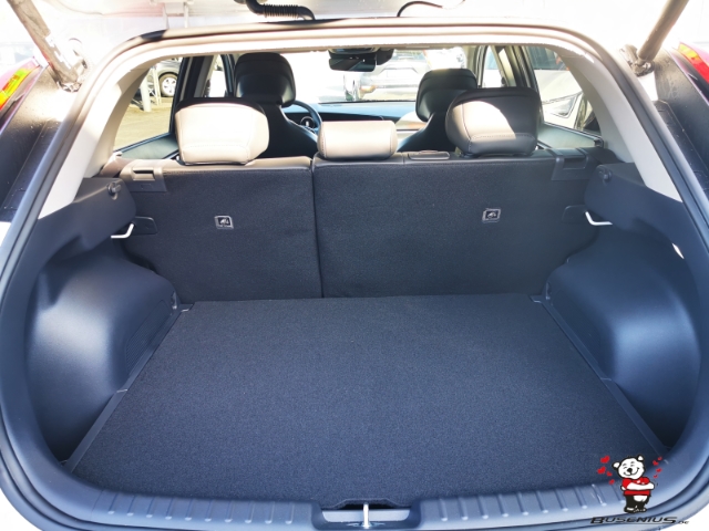 Kia Niro EV – Bild 5