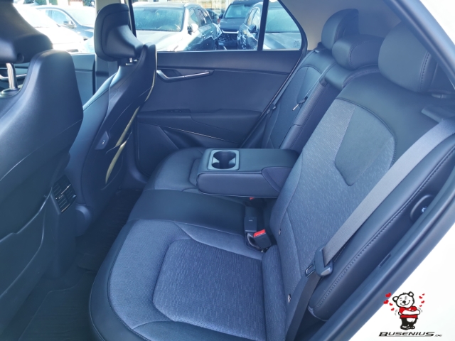 Kia Niro EV – Bild 9