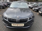 Skoda Karoq 2,0l TDI Ambition/Navi/Automatik/R. Kamera