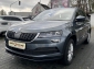 Skoda Karoq 2,0l TDI Ambition/Navi/Automatik/R. Kamera