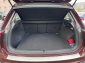 VW Tiguan 1,5l TSI Life/Automatik/Alufelgen/