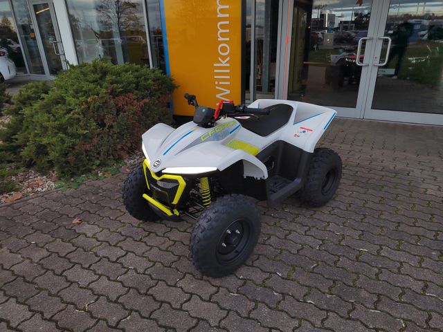 CFMOTO CForce EV110