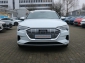 Audi e-tron 50 q S line ACC HUP PANO NIGHT 360 DAB