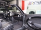 MINI Cooper S Cabrio WIRED CHILI / XENON,LEDER,NAVI+