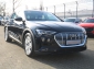 Audi e-tron 50 q AIR-SUS 19Z KEYLESS DAB LED LANE VC