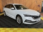 Skoda Octavia Combi Style TSI *Navi*LED*Kessy*Virtual*