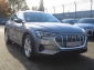 Audi e-tron 50 q ACC AHK HUP PANO NIGHT KAMERA 20