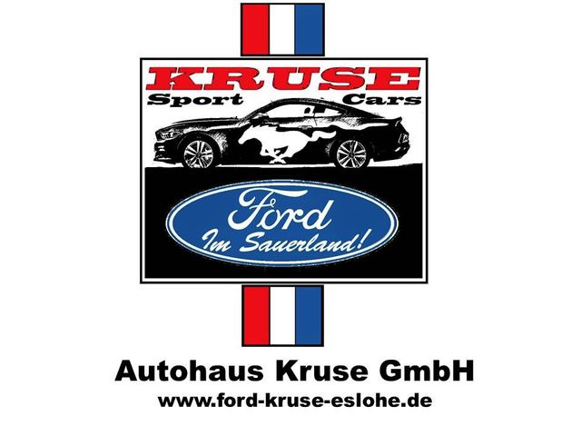 Ford Andere