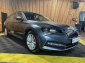 Skoda Superb Combi TSI iV DSG *Navi*Matrix*Virtual*Kam