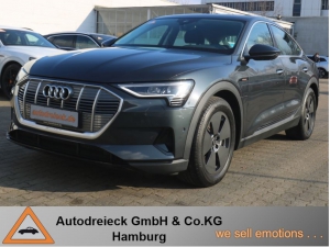 Audi e-tron 50 q AIR KAMERA 360 19Z DAB VC