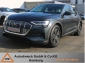 Audi e-tron 50 q AIR KAMERA 360 19Z DAB VC