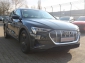 Audi e-tron 50 q AIR KAMERA 360 19Z DAB VC