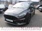 Ford S-Max ST-Line AWD Autom. Navi 7-Sitzer RFK