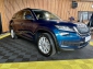 Skoda Kodiaq 2,0 TDI 4x4 DSG *Navi*LED*Kam*360*ACC