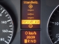 Mercedes-Benz Sprinter 316 CDI MAXI 7G StHz RCam Dachtrger