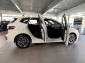 BMW 230e Active Tourer xDrive M Sport AHK+ACC+DAPLUS